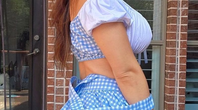 Sohbet Sitesi, Sohbet siteleri, Sohbet sitelerinin amaçları